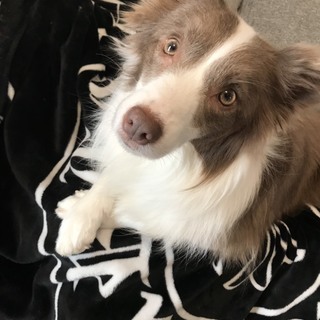 良縁に恵まれました、お問い合わせ有難うございました。