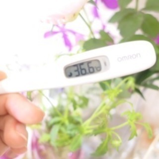 薬膳茶会 春のオープンガーデン ブレンド茶をお出しします！5月火曜・金曜日の画像