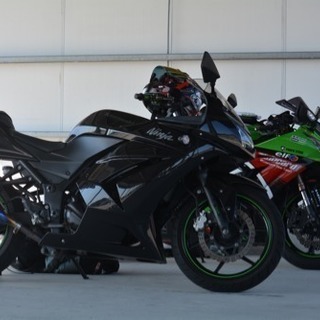 ninja250r 