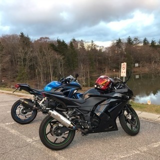 ninja250r の画像