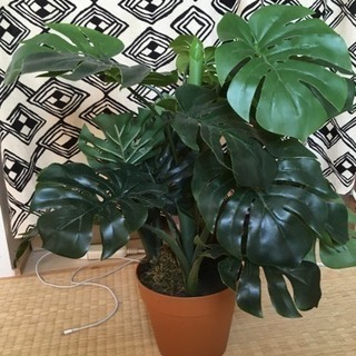 造花  モンステラ