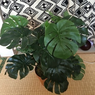 造花  モンステラの画像