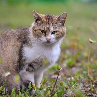 出張撮影の画像