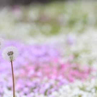 出張撮影の画像