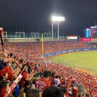 カープファン観戦募集：5月28日＠神宮