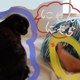 カメラ 写真 Canon kiss  