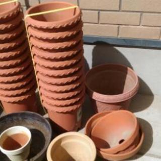 （無料）植木鉢