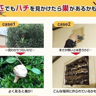 TBS・報道特集様に取材を受けた有資格企業です。害虫・害獣駆除!!再発保証のアフターサービスを無料で用意しております‼　特殊清掃で使う薬品噴霧で巣ごと除菌・消臭・除去ができます！被害が拡大する前にご相談ください！　ゴキブリ、ねずみ、スズメバチ、アリ、等の害虫・害獣駆除 - 地元のお店