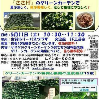 グリーンカーテンの育成者の募集