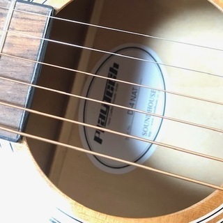 PLAYTECHプレイテック アコースティックギター D-4NAT【江戸川区内送料無料】の画像