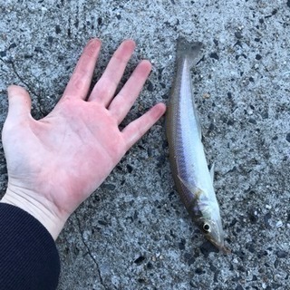 初心者釣りガールです！