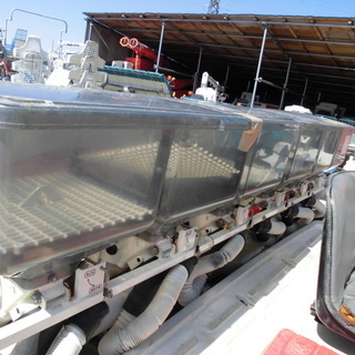 ヤンマー　田植機　VP6の画像