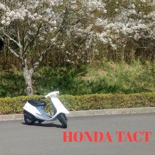 HONDA タクト af24 ☆バイクの季節到来！☆