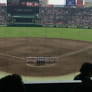 5月11日、一緒に野球観戦しませんか？