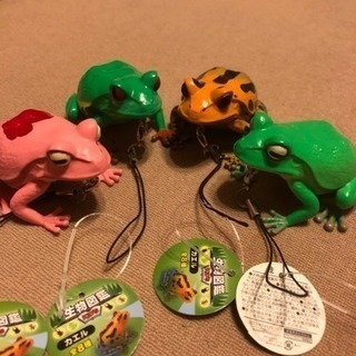 値下げ❗️アクアリウム⁉️カエル4匹セット❗️