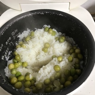 グリーンピース収穫しました。