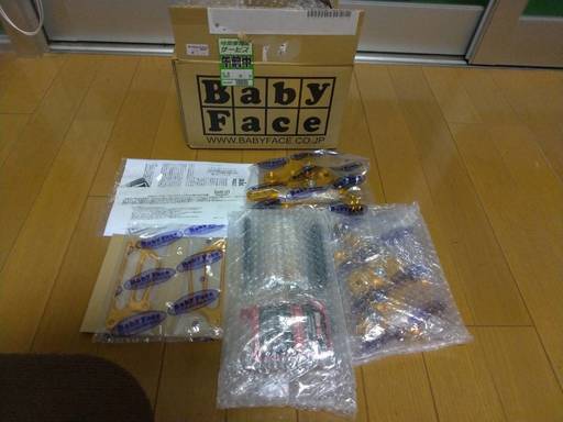 ベビーフェイス(BABY FACE) バックステップ ゴールド Ninja250SL