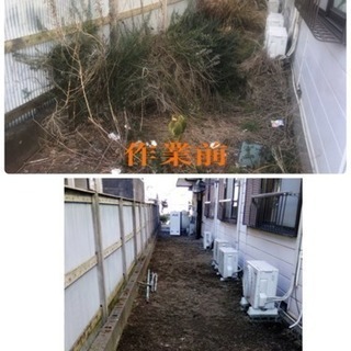 庭の手入れ店 除草♪剪定♪草刈り致します 所沢市、入間市さいたま市など