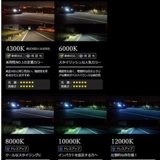 HIDバルブ D2R 8000kの画像