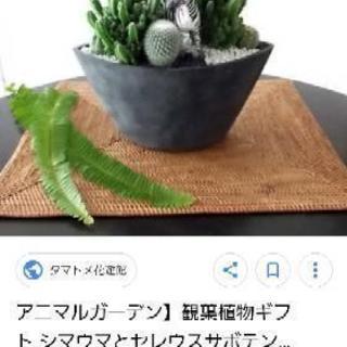 敷物　インテリア、テーブルウェアに