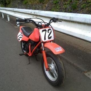 ホンダ　QR50 キッズバイク