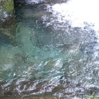 【初心者🔰】登山・ハイキング仲間募集（関西） - 友達