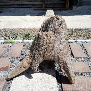 流木 40cm