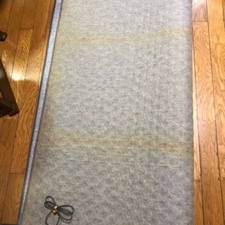 2畳用のホットカーペット 取りにきてくれる人差し上げますの画像