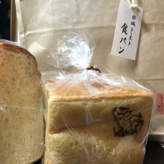 🌿【3/8開催】春を感じるパークヨガ @橿原運動公園の画像
