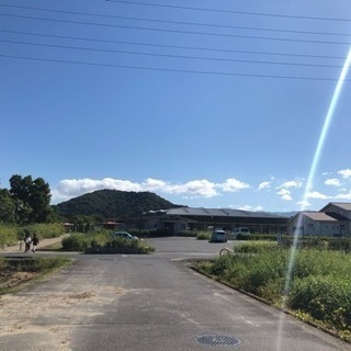 🌿【3/8開催】春を感じるパークヨガ @橿原運動公園の画像