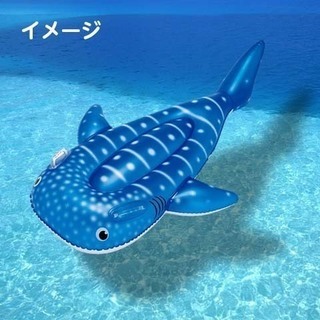 プールに海に★ジンベイザメのフロート／浮き輪