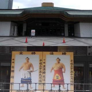 【無料】5/12(日)大相撲夏場所初日マスC席1枚