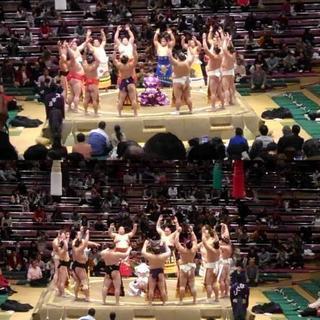 【無料】5/12(日)大相撲夏場所初日マスC席1枚の画像