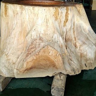 欅　臼　けやき　特注品　ケヤキ　うす 美術品 骨董品の画像