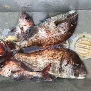 船お持ちのボートで釣りをされてる方情報交換やボートメンテナンスな...