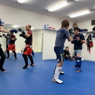 キックボクシング、柔術、MMAの画像