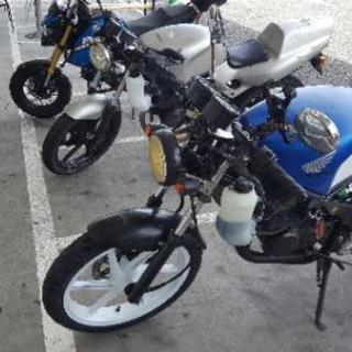 バイクツーリング仲間募集