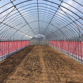 ビニールハウス 建て方 お手伝い致します。 - 便利屋