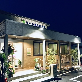 腰痛・頭痛・自律神経の乱れ・美容鍼灸・姿勢矯正 - 中央市