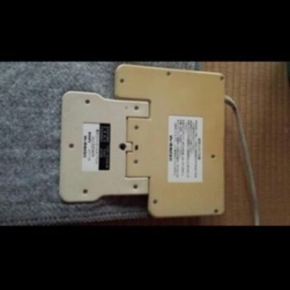 お値下げ検討中！ホットカーペットの画像