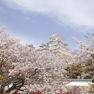 日本語の先生を探しています！