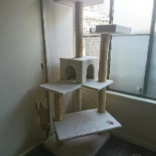 キャットタワー