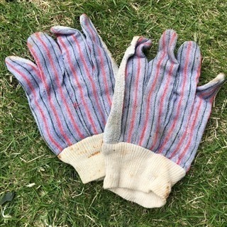 【決定しました】アウトドア キャンプ グッズ いろいろの画像