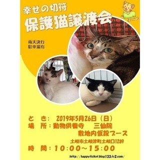 土岐市動物供養寺 三仙院 猫の譲渡会