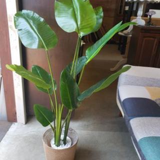 （造花）観葉植物
