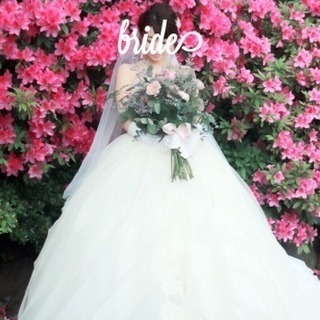 【リーゼル 】Verawang Liesel US4