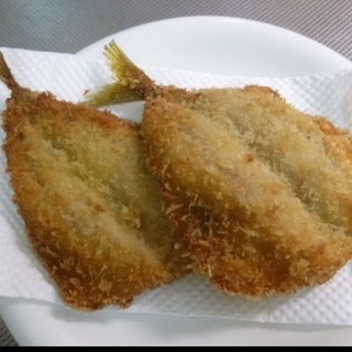 ５／１６  サバ釣り〜半田方面 - その他