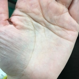 手相鑑定致します✋