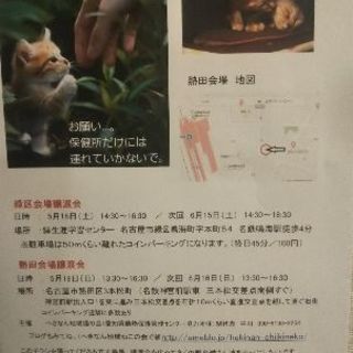 保護猫の譲渡会を開催致します。