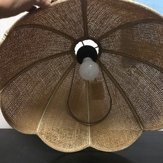 ⭐️藤の電気傘⭐️ 値下げしました❣️